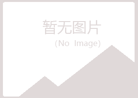 昌吉字迹媒体有限公司